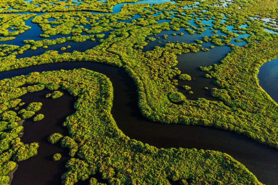 Aerial view of wetlands waterways