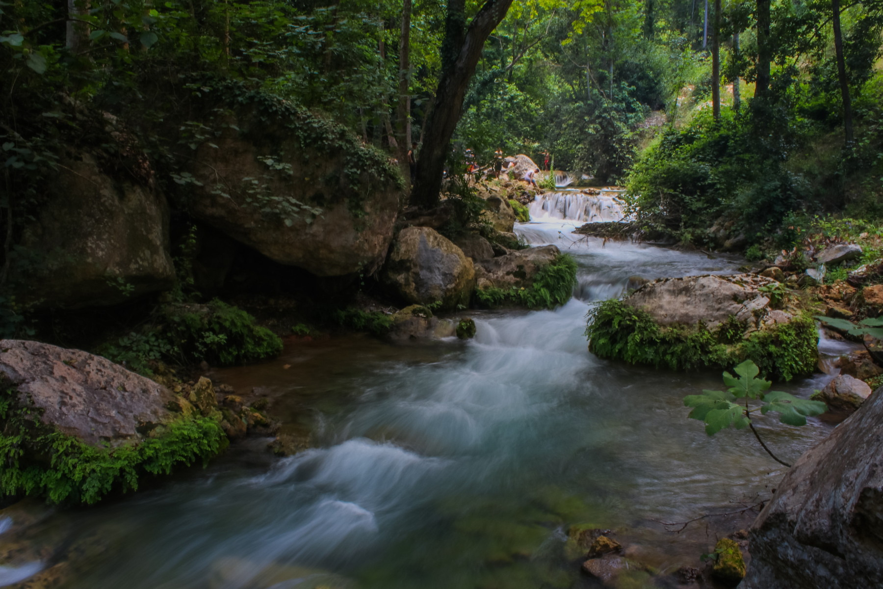 Stream running through forest slow exposure