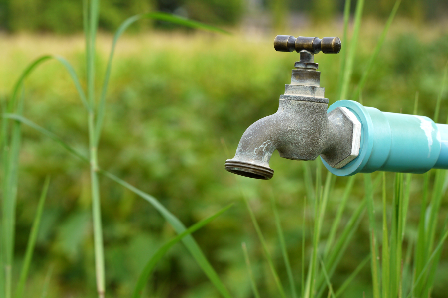 Dry faucet in grass