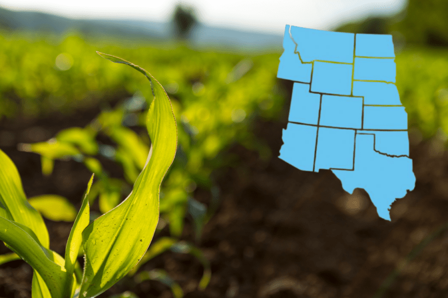 Close up of crop with US Mountain west map overlaid