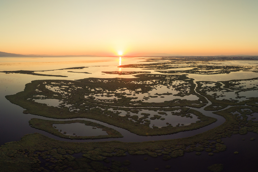 Florida wetlands sunset yellow sky