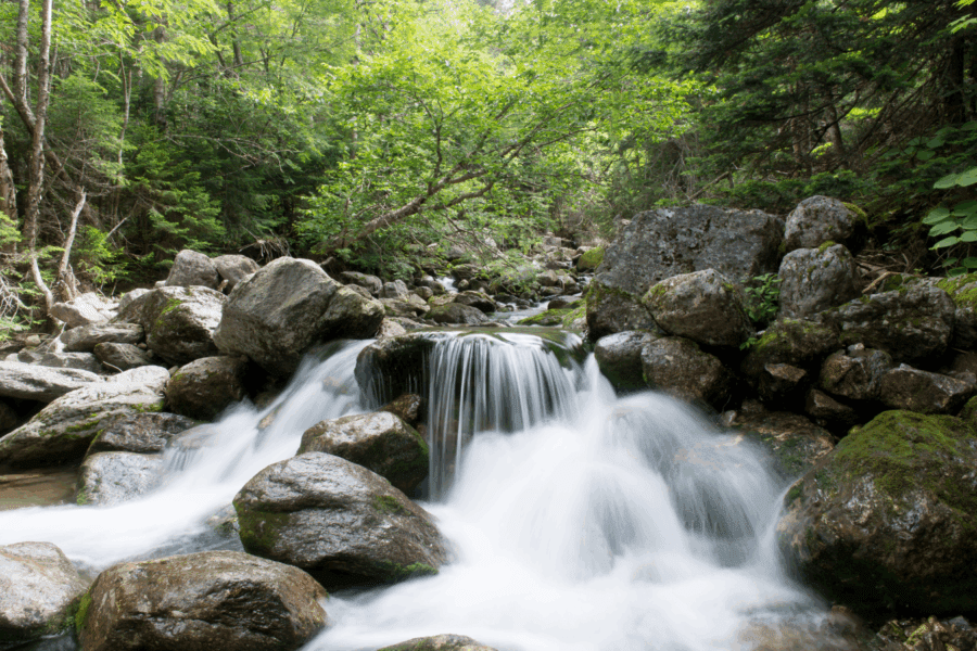 Small waterfall in green forest stream