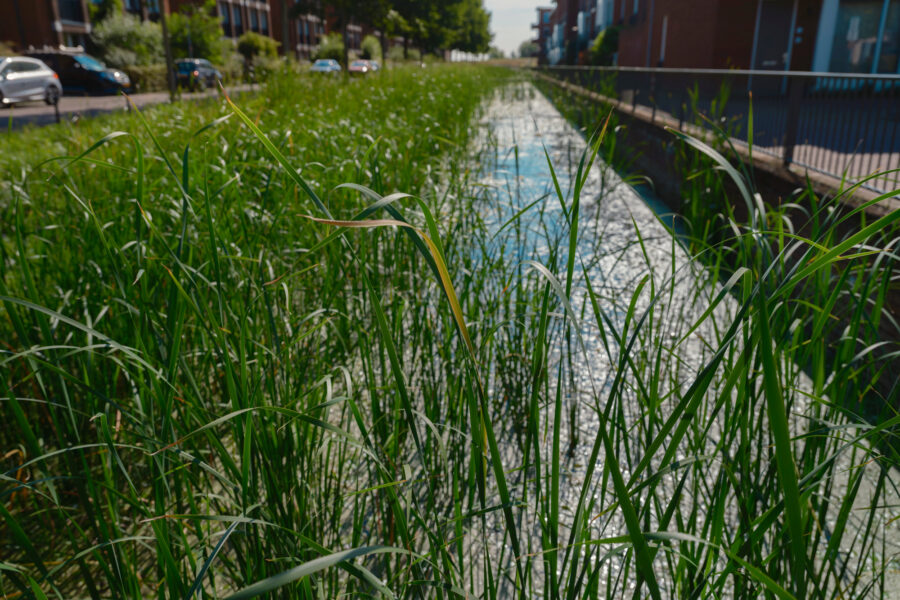 stormwater management